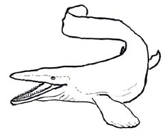 モササウルスの想像図