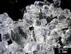 塩の光学顕微鏡拡大像