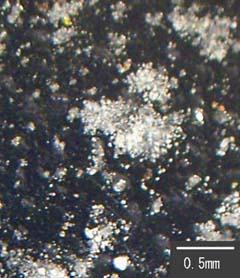 光学顕微鏡で撮影した火山灰